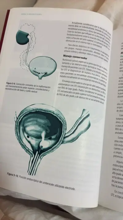 Manual de Urología Pediátrica Quinta Edición - miniatura 2