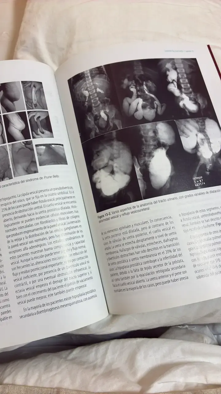 Manual de Urología Pediátrica Quinta Edición - 3