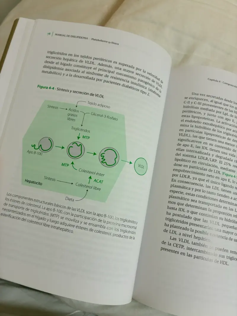 Manual de Dislipidemias Metabolismo y Clínica - 2