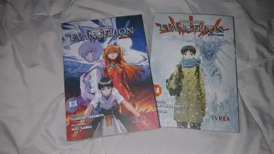 Mangas Evangelion Edición Deluxe Vol. 13 y 14 - miniatura 1