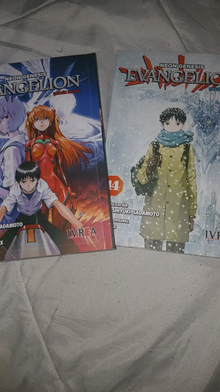 Mangas Evangelion Edición Deluxe Vol. 13 y 14 - 3