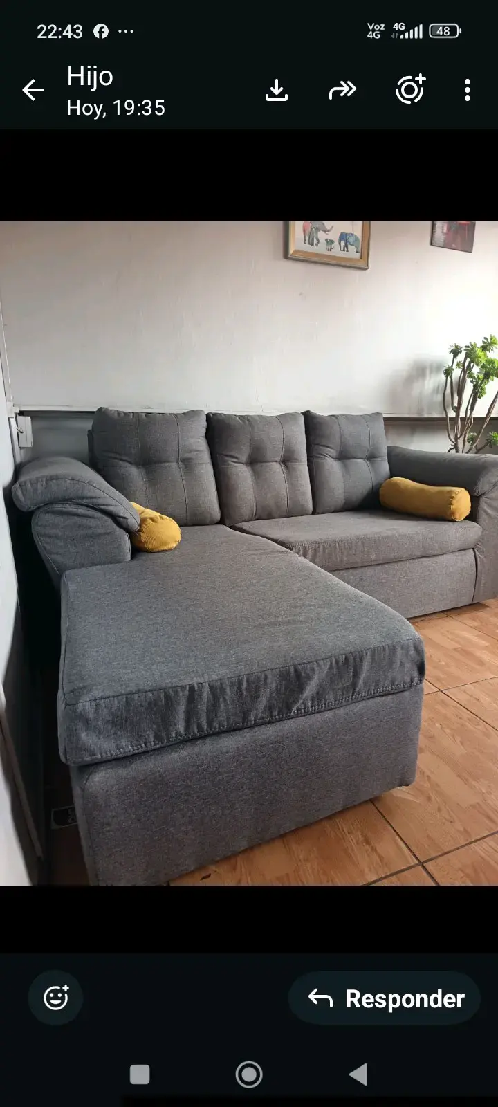 Sofá seccional gris con chaise longue - 2