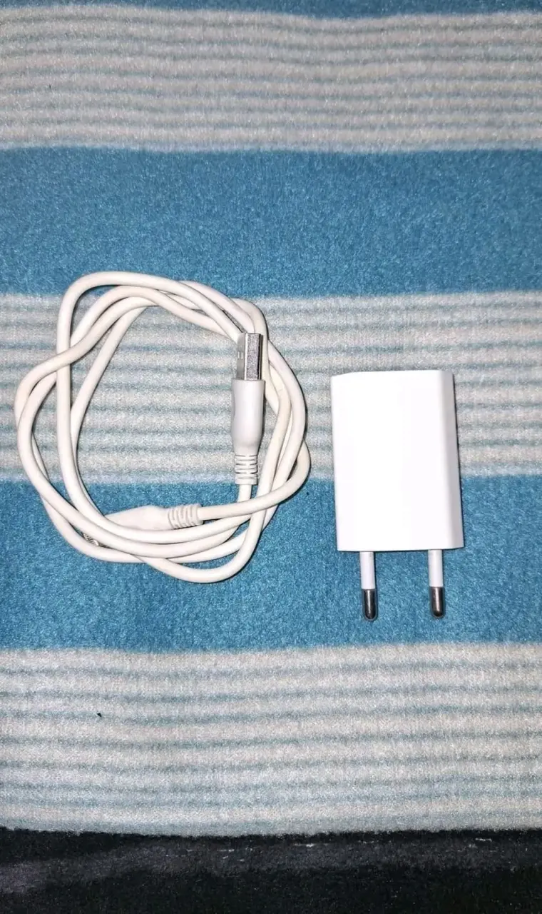 Cargador original Apple + cable USB A-Lightning - 1