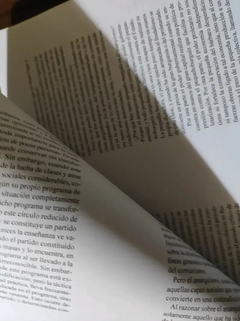 Impresión Libro Anarquismo y Comunismo Preobrazhen - 3