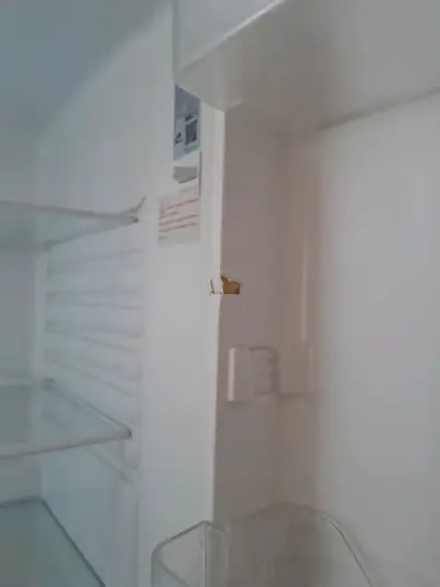 Refrigerador fensa de dos puertas - miniatura 5