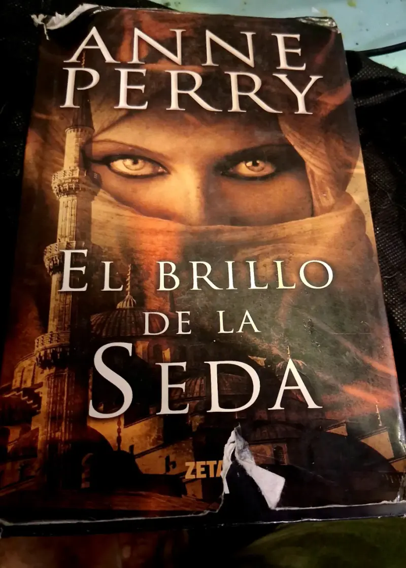 Libro 'El Brillo de la Seda' de Anne Perry - 1