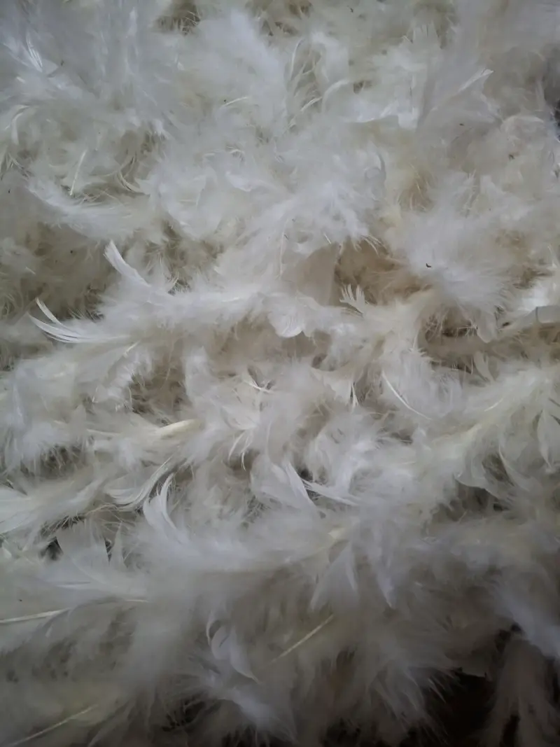 Traje de pascuense de plumas - 3