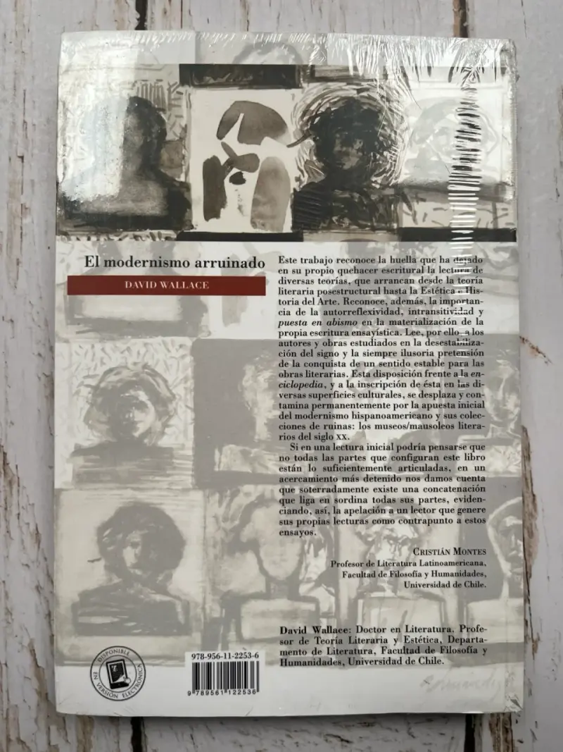 El Modernismo Arruinado de David Wallace - 3
