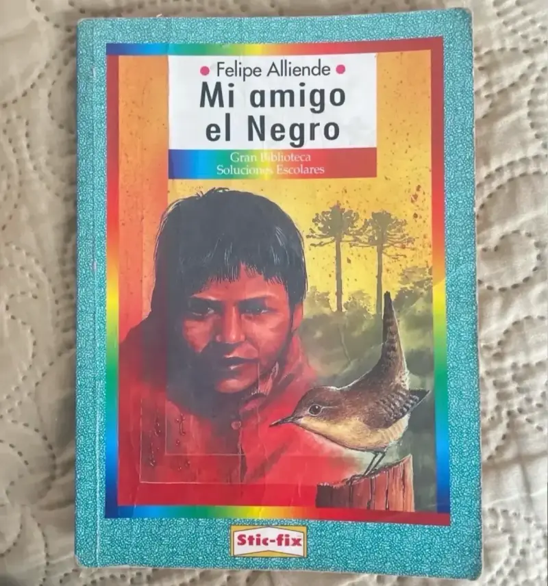 Libro 'Mi amigo el Negro' de Felipe Alliende