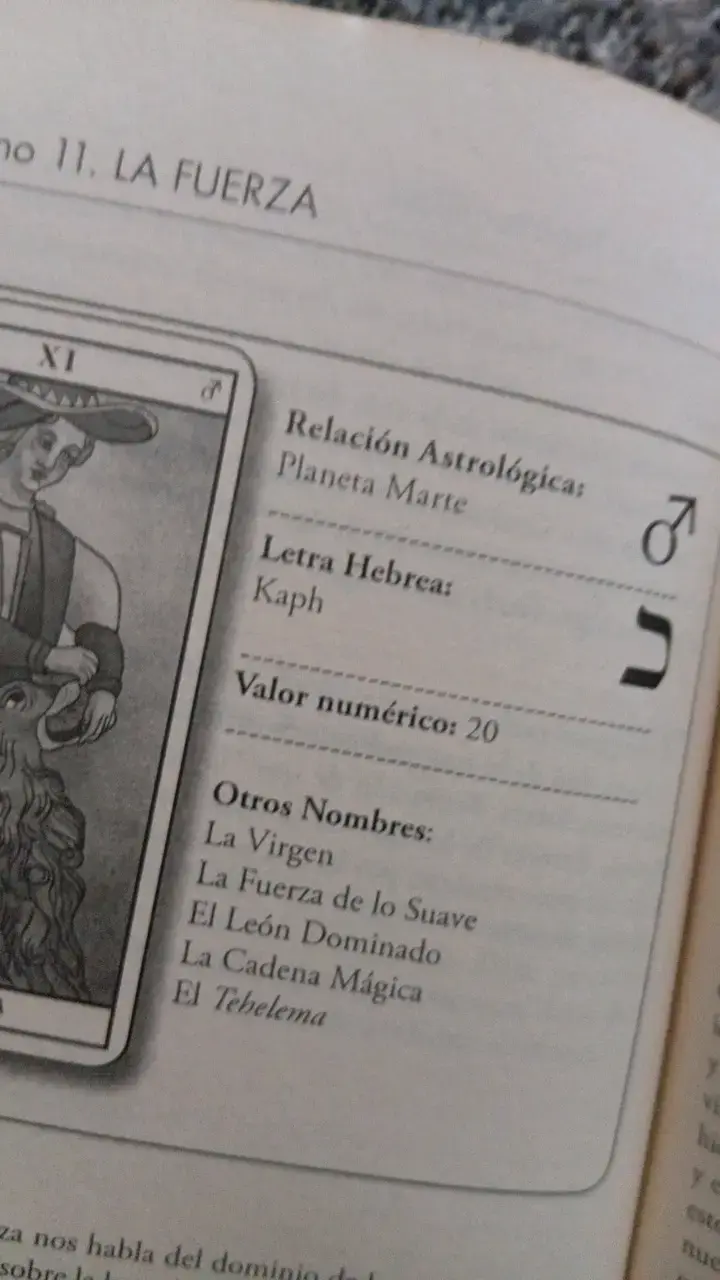 Tarot Marsellés con Libro de Curso Completo - 3