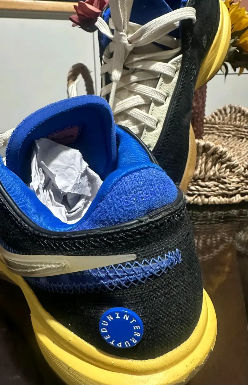 zapatillas Nike LeBron 20 x Uninterrupted "Speak Y - 5