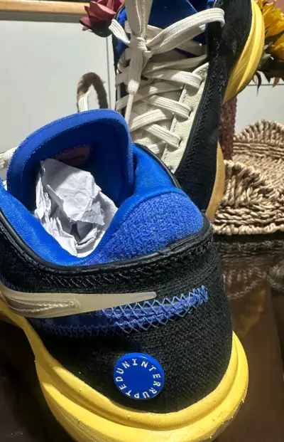 zapatillas Nike LeBron 20 x Uninterrupted "Speak Y - miniatura 5