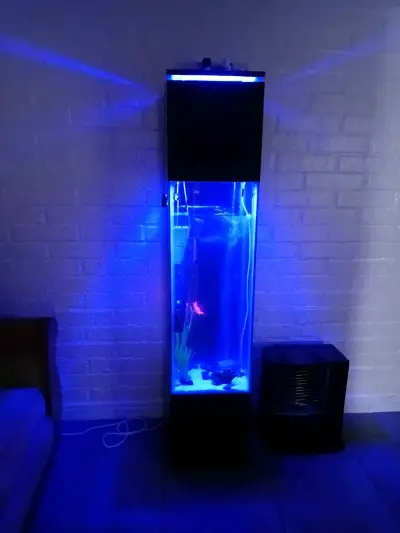 Acuario vertical con iluminación LED - miniatura 1