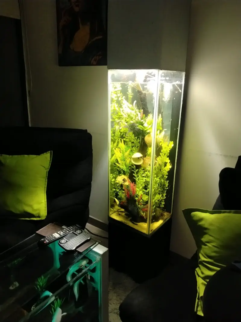 Acuario vertical con iluminación LED - 3