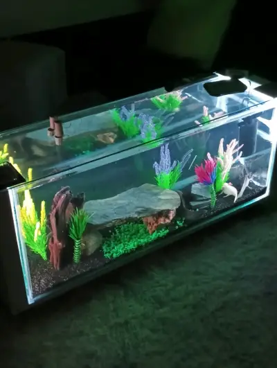 Somos fabricantes. Acuario mesa de centro - miniatura 1