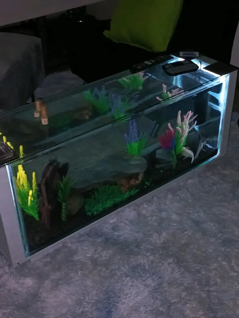 Somos fabricantes. Acuario mesa de centro - 2