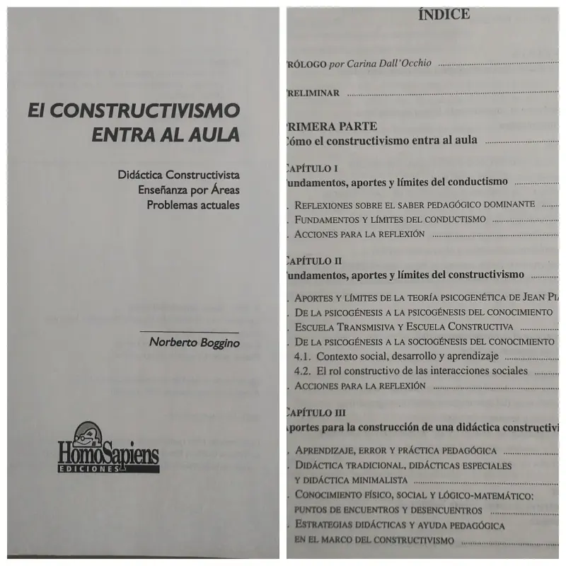 Libro El Constructivismo Entra al Aula de Norberto Boggino - 2