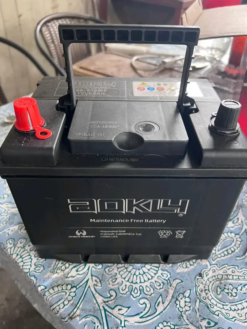 Batería de Auto Aokly 12V 60Ah - 4