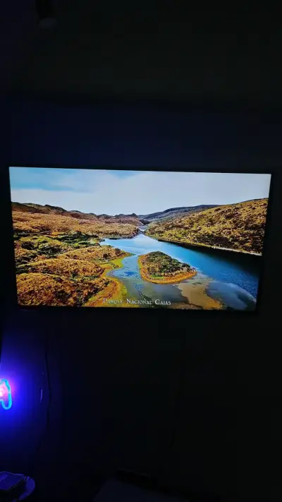Televisor LED Full HD 50 pulgadas - miniatura 8