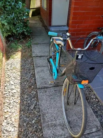 Bicicleta urbana con canasto y portaequipaje - miniatura 1