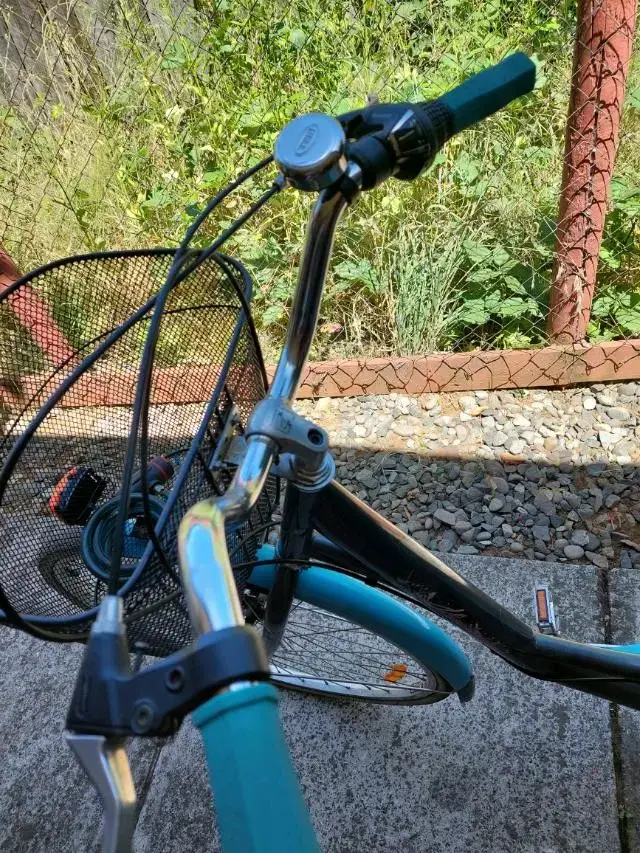 Bicicleta urbana con canasto y portaequipaje - 5