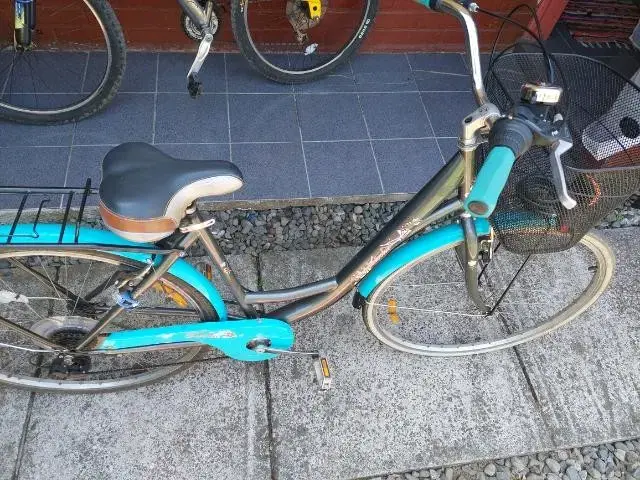 Bicicleta urbana con canasto y portaequipaje - 6