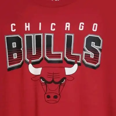 Polera Roja Chicago Bulls Marca '47 - miniatura 2