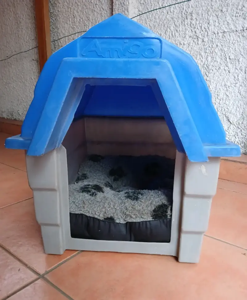 Casa para perro de plástico Amigo azul - 2