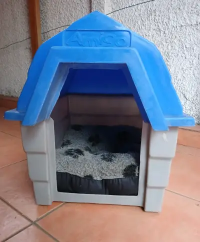 Casa para perro de plástico Amigo azul - miniatura 2