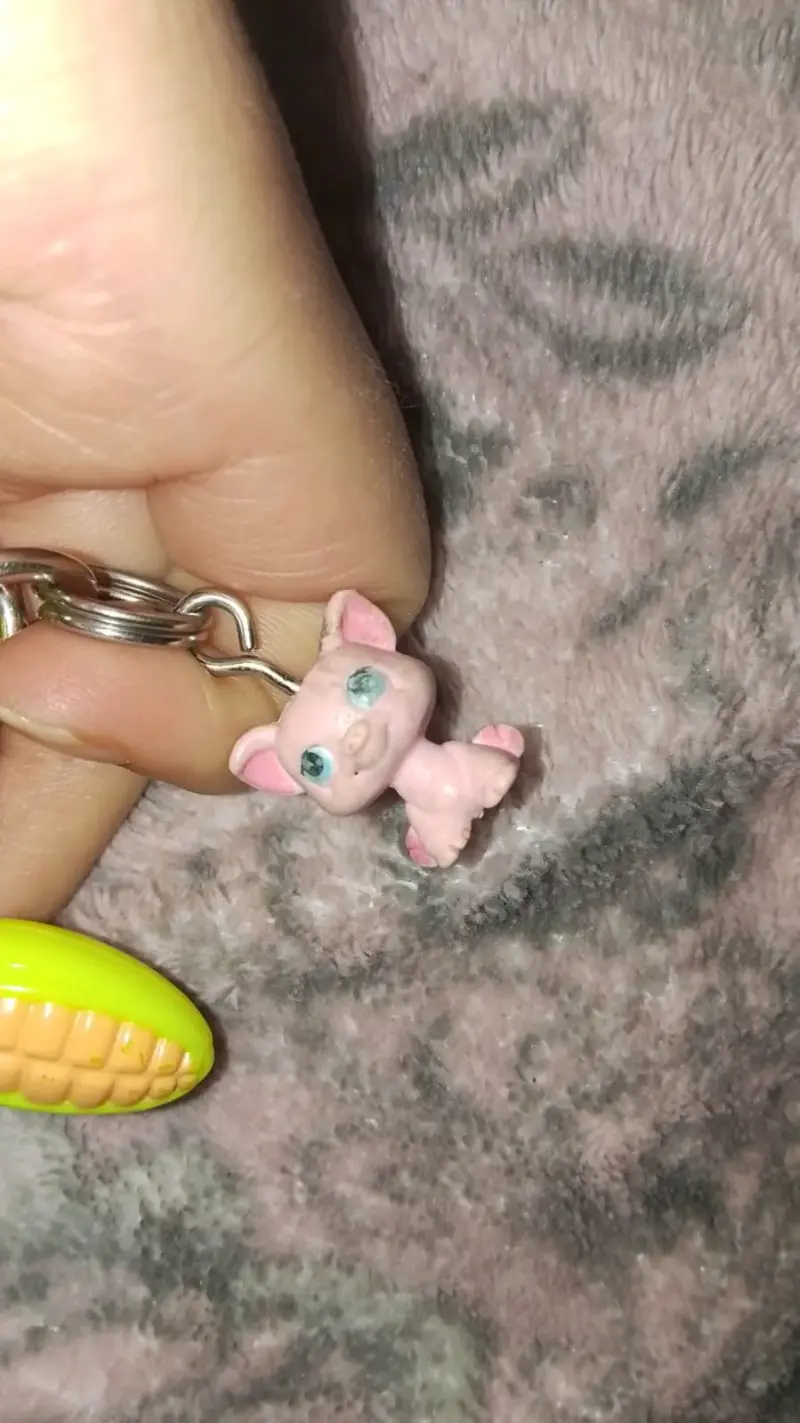 tamagotchi de lps - 3