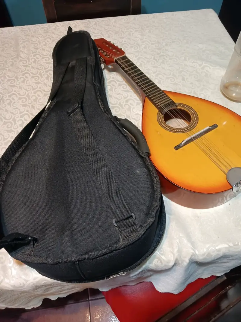 Mandolina acústica Becerra con funda - 2