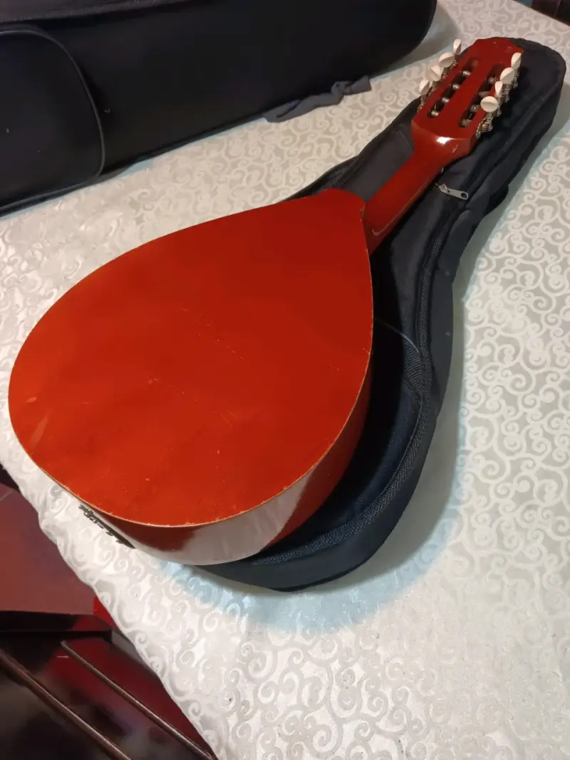 Mandolina acústica Becerra con funda - 3