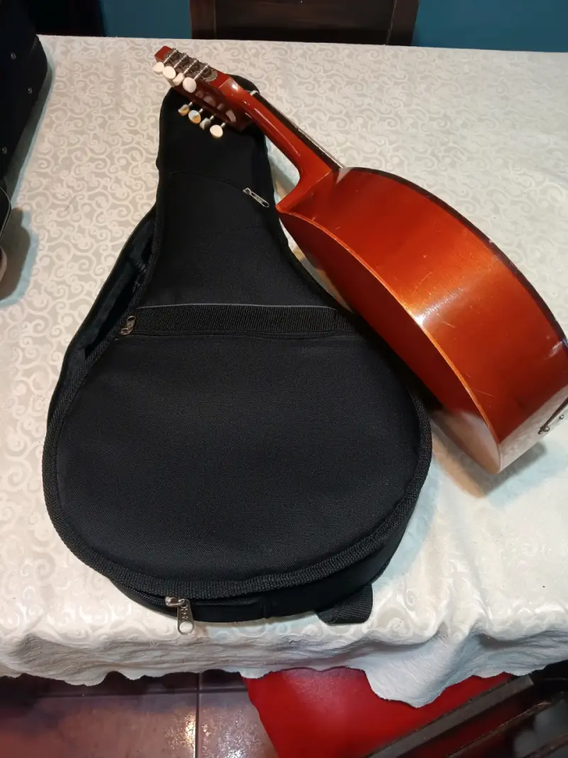 Mandolina acústica Becerra con funda - 4