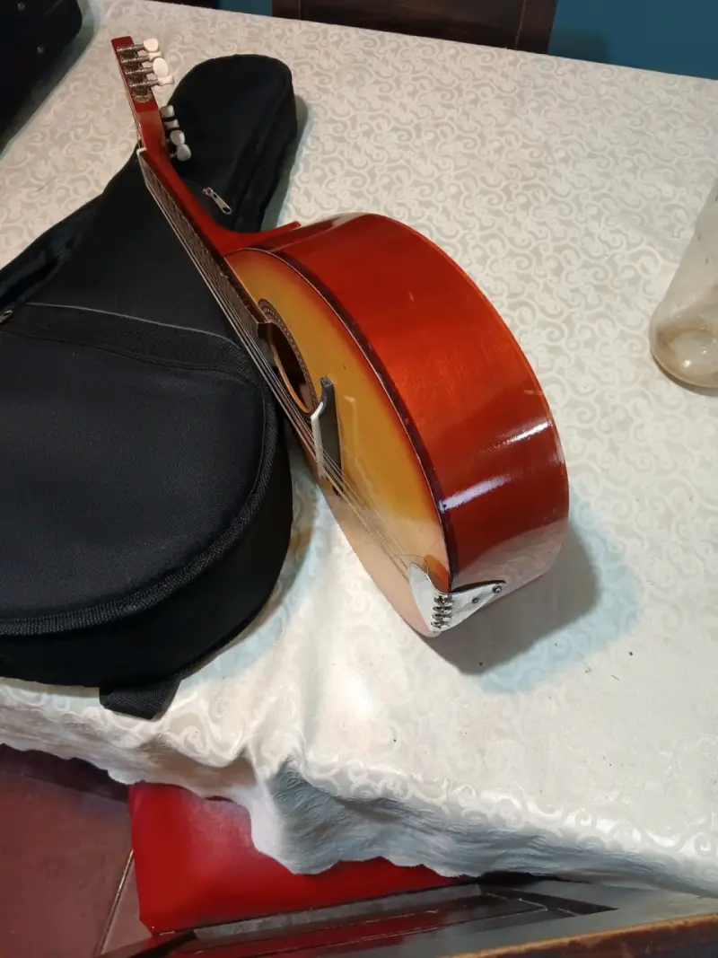 Mandolina acústica Becerra con funda - 5