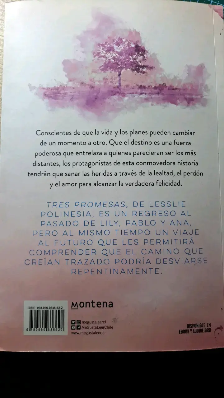 Libro Tres Promesas de Lesslie Polinesia - 2