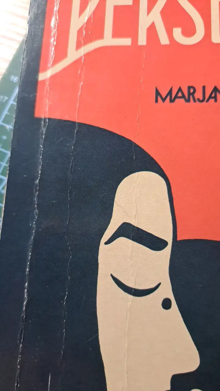 Libro Persépolis de Marjane Satrapi - 3