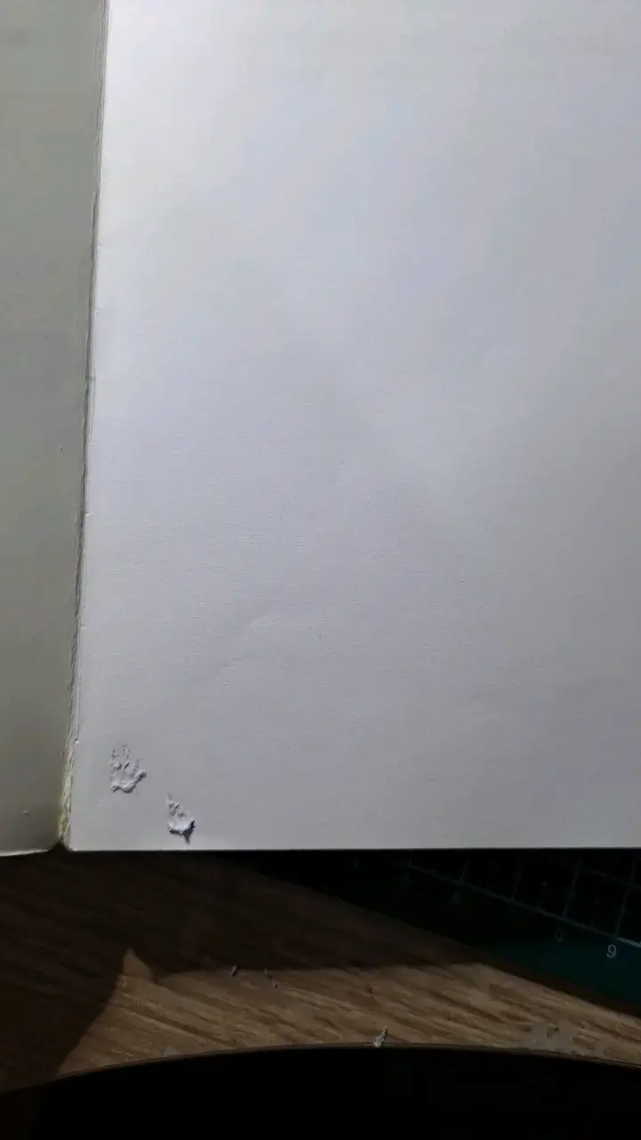 Libro 'La Ciudad de las Bestias' de Isabel Allende - 3