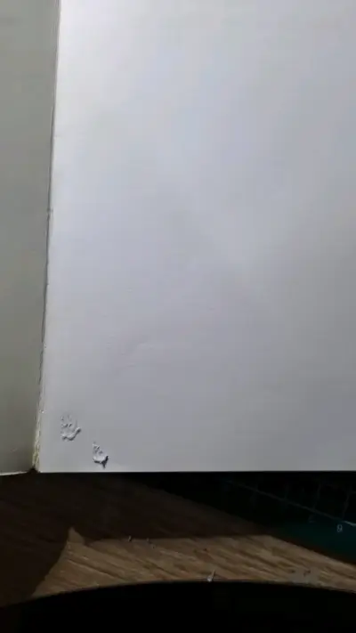 Libro 'La Ciudad de las Bestias' de Isabel Allende - miniatura 3