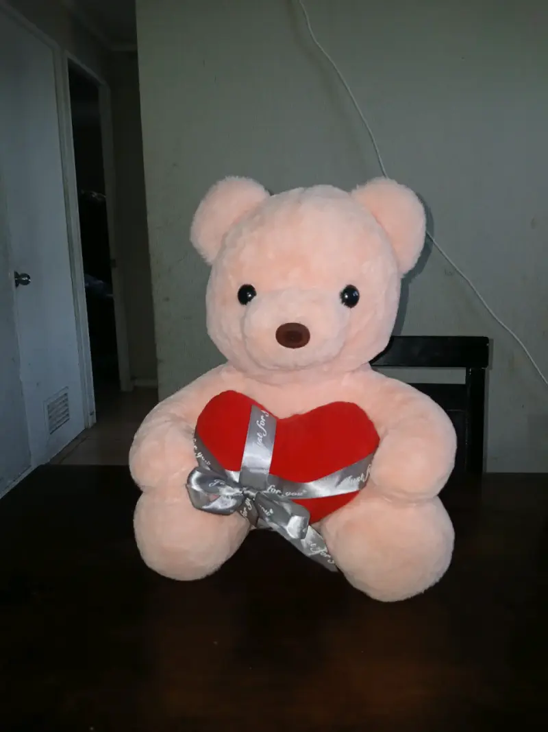 Osito de peluche rosa con corazón rojo - 2