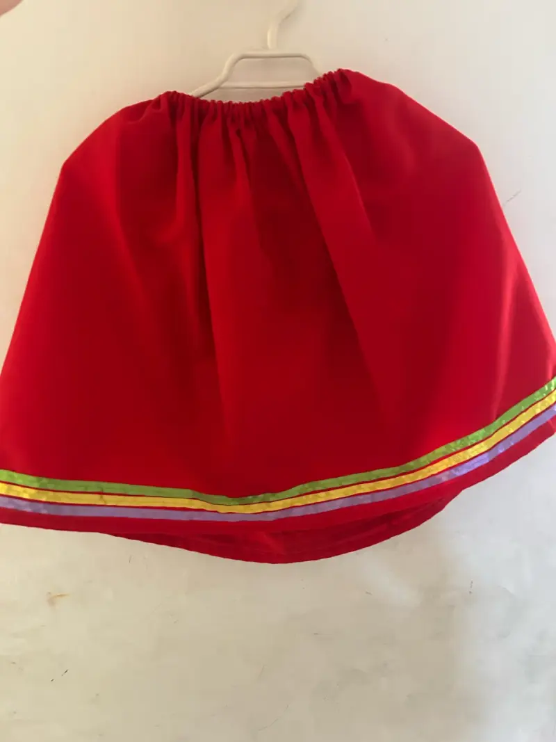 Traje nortino - 1