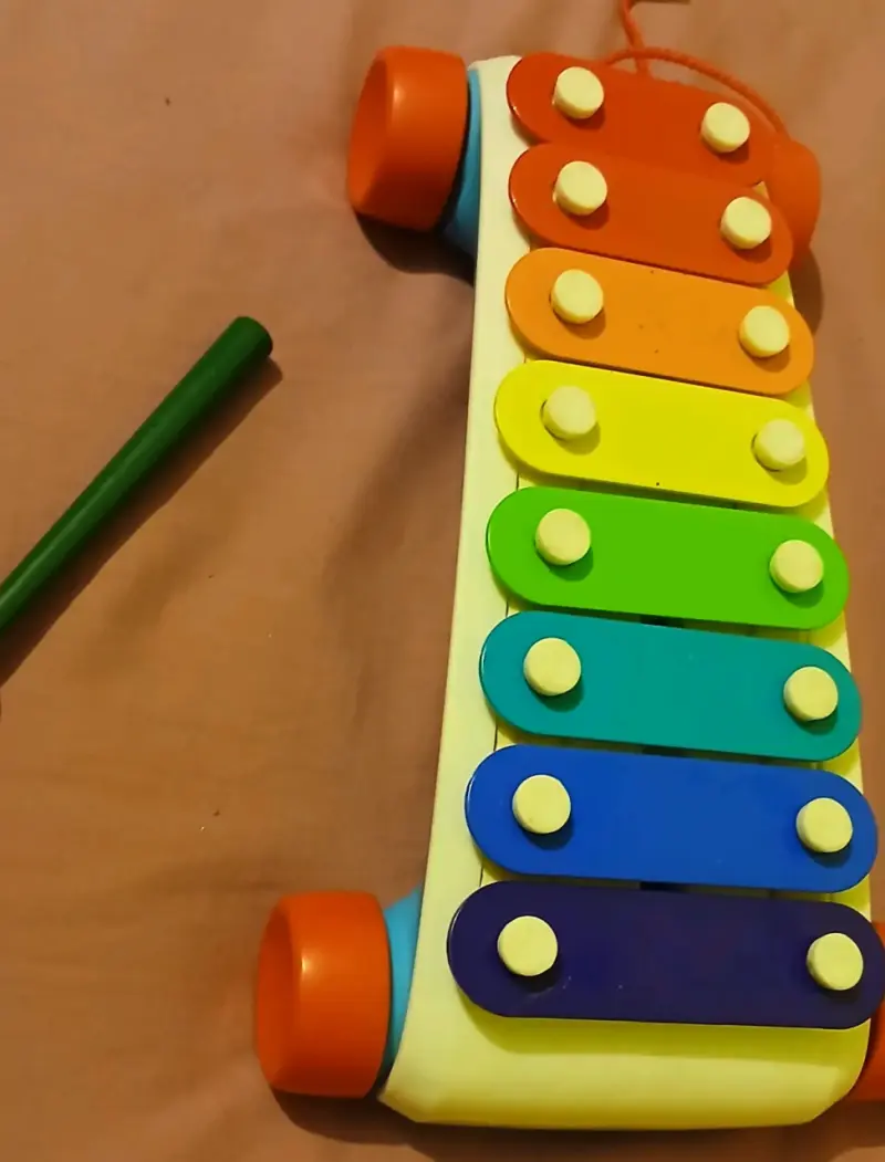 Xilófono infantil de colores con ruedas - 1