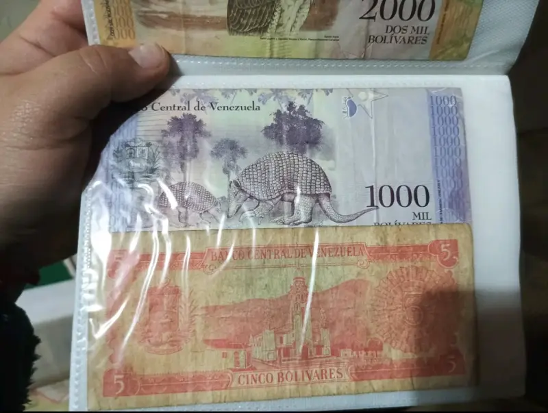 Colección de billetes de diferentes países - 3
