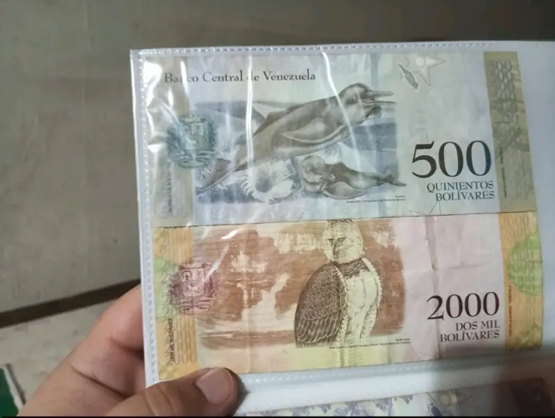 Colección de billetes de diferentes países - 5