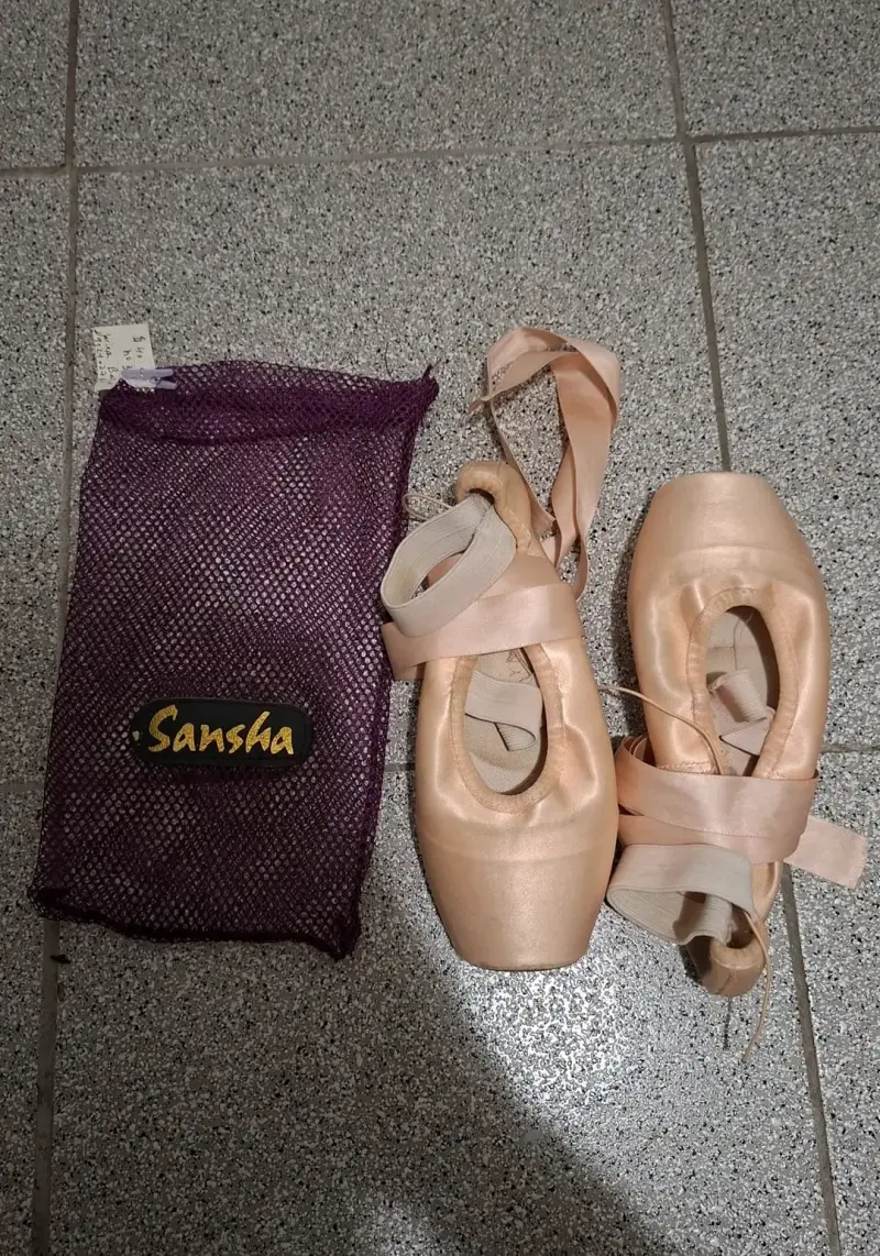 Zapatillas de punta de ballet, Gaynor Minden - 1