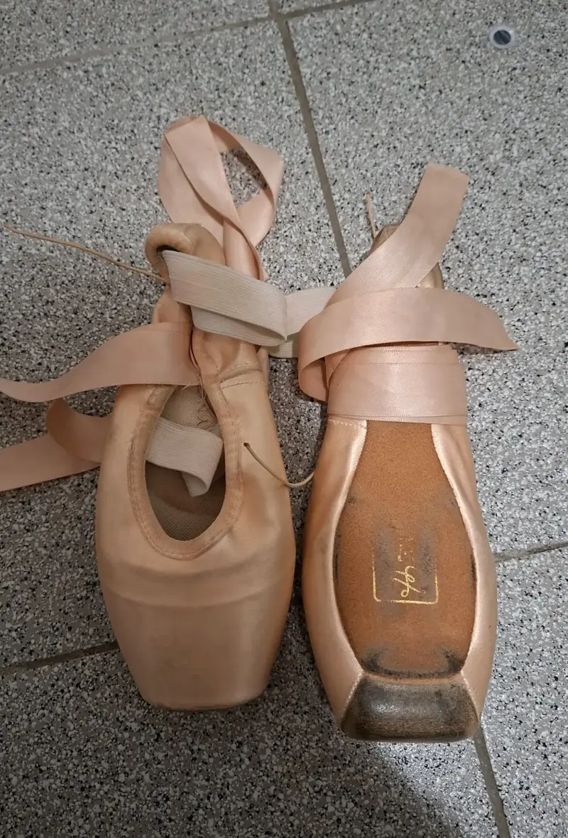 Zapatillas de punta de ballet, Gaynor Minden - 4