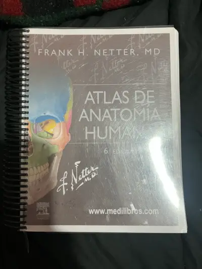 Cuaderno y Atlas de Anatomía para Colorear Netter - miniatura 2