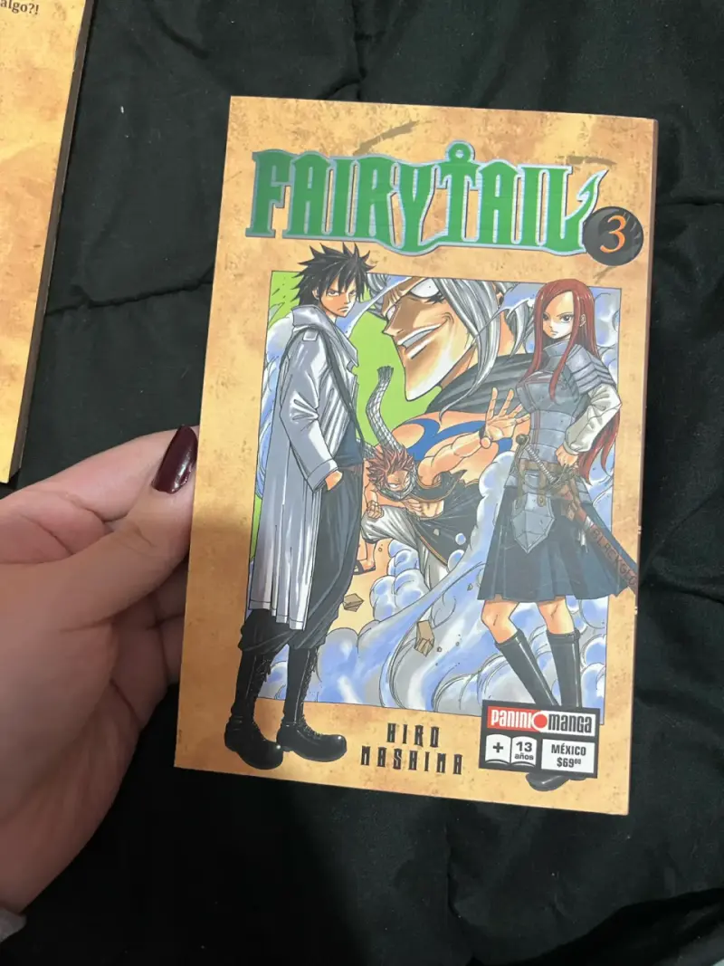 Mangas Fairy Tail Volúmenes 2 y 3 de Hiro Mashima - 2