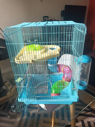Jaula para hámster con accesorios y transportadora - miniatura 4