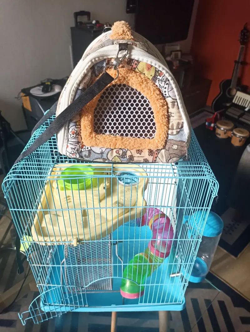 Jaula para Hámster con accesorios y transportadora - 1