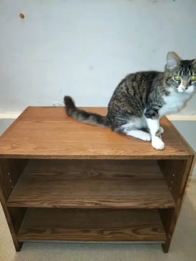 Muebles - miniatura 1